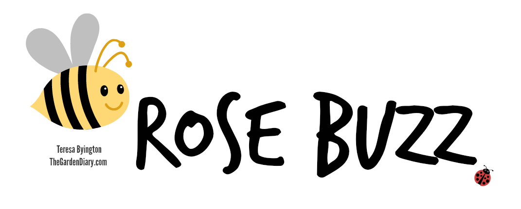 Rose Buzz: It’s Officially Rose Season – The Garden Diary